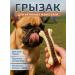 Dog toy - chewing bone