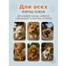 Dog toy - chewing bone - Buy Online on GoSupps.com