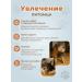 Dog toy - chewing bone - Buy Online on GoSupps.com