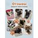 Dog toy - chewing bone - Buy Online on GoSupps.com