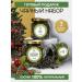 tea day Set of tea gift black 3 cans