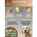 Good Dog Multivitamin treat for dogs Health and Energy - Buy Online on GoSupps.com