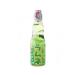 Red Dragon St Petersburg Drink carbonated rumunet melon 2 pcs. 200 ml - Buy Online on GoSupps.com