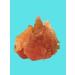 Country delicacies Delicacy for adult dogs chicken slices delicate 10 pcs - Buy Online on GoSupps.com