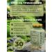 GINSENG Weight and mass sets - Buy Online on GoSupps.com