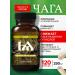 Hedgehog Chaga Birch Altai in capsules 120 pcs 250 mg