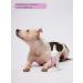 VIP DOG Dog shampoo Babb Gam. 500 ml nutritious - Buy Online on GoSupps.com
