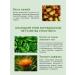 VELLA Hydrophilic balm with wormwood extract 80 ml - Buy Online on GoSupps.com