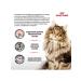 ROYAL CANIN GastroinTestinal Fiber Response for adult cats 350g - Buy Online on GoSupps.com
