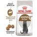 ROYAL CANIN Ageing Sterilized 12+ Feed for sterilized cats 4 kg - Buy Online on GoSupps.com