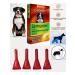 Ecoprom Citoderm Dermatological Drops Dogs 30-60kg 4p*6ml - Buy Online on GoSupps.com