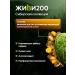 Live 200 Witgrass in Ayurveda tablets 140 pcs - Buy Online on GoSupps.com