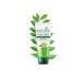 BIOTIQUE Biotic with him washing gel 100ml