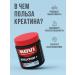 MOVI Set of sports nutrition Creatine preverse ZMA - Buy Online on GoSupps.com
