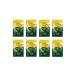 Gold Tea Bowl Tea peel green sheet 100g 8pcs