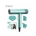 All for Family IP-385G Professional hair dryer for styling and drying hair