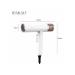 All for Family IP-385G Professional hair dryer for styling and drying hair - Buy Online on GoSupps.com
