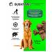 BUSHYTAIL Light beef dried delicacy delicious for dogs - Buy Online on GoSupps.com