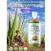 Juice natural aloe vera ginger_med alantra 1 l (2 pcs) - Buy Online on GoSupps.com