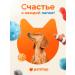 PetShop Tablet Administrator for Cats and Dogs - Buy Online on GoSupps.com