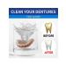 Dentures cleansing tablets 100 pcs ts 5pcs - Buy Online on GoSupps.com