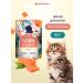 Florida Spider for kittens pieces with salmon in sauce 85 g wet food