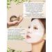 Beauugreen Korean hydrogel face masks with mucin of snails 5 pcs - Buy Online on GoSupps.com