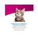 Farmina Vet Life for Cats Management Strait 2 kg - Buy Online on GoSupps.com