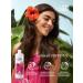 AVON Shampoo hair conditioner 2 in 1 volume and power 2 pcs - Buy Online on GoSupps.com