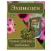 Herbs for you with love Echinacea herb