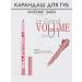 VIVIENNE SABO Lip pencil Le Grand Volume