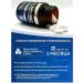 NUTRAXIN Magnesium b6. Malat bislycinate taurat complex - Buy Online on GoSupps.com