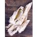 Exotic Pet Dog treating - rabbit ears dried 100 grams - Buy Online on GoSupps.com