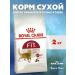 ROYAL CANIN FIT for adult cats extending to 2kg street