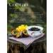 BodrOFF Tea black fruit sheet 50 g - Buy Online on GoSupps.com