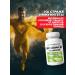 RISINGSTAR Vitamin D3 5000 IU Vitamin D - Buy Online on GoSupps.com