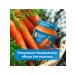 Gerber Carrots of mashed potatoes 6x125g - Buy Online on GoSupps.com