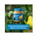Gerber Pear Puree 6x125g - Buy Online on GoSupps.com