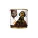 Grandorf fresh Dry food for dogs lamb and battting 10 kg and gift - Buy Online on GoSupps.com