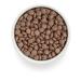 Grandorf fresh Dry food for dogs turkey and battting 10 kg and gift - Buy Online on GoSupps.com