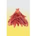 Country delicacies Duck straw tender 5 pcs - Buy Online on GoSupps.com