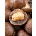 H&N ECO Macadamia 7a in the shell of Extra 500 grams with a key - Buy Online on GoSupps.com