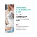 Canned food for adult cats and kittens with veal 100 g - Buy Online on GoSupps.com