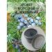 SHUGGE Shungite scrub-mask for body - Buy Online on GoSupps.com