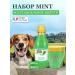 Dog shampoo and ISB mint mask