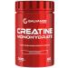 Galvanize Nutrition Creatin Galvanize Nutrishn Creatine Monohydrate 300 g