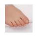 Queen fair Correctors for ingrown nails transparent - Buy Online on GoSupps.com