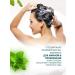 KeraSys Shampoo for oily scalp 400 ml - Buy Online on GoSupps.com