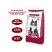 Lucky guy Dry food cats Assorted 5kg