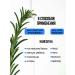 GreenAurum Rosemary hydrolate for face and hair - Buy Online on GoSupps.com